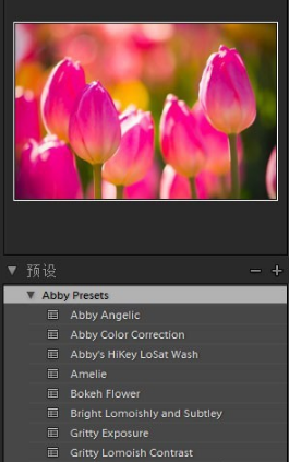 Adobe Photoshop Lightroom截图